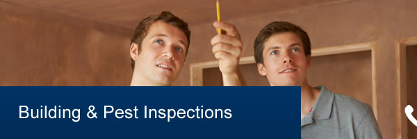 Affordable Building & Pest Inspection Brisbane