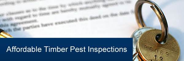 Affordable Pest Inspection Services