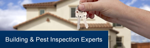 Building Inspectors