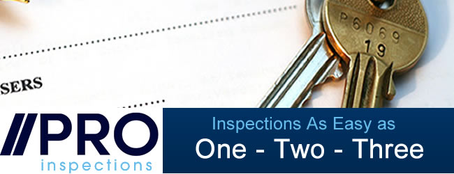 Building Inspections Made Easy 