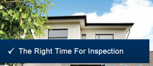 Right Time For Pest Inspection