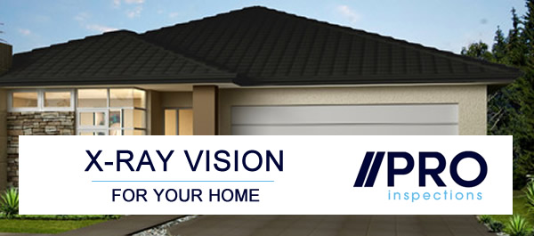 Thermal Imaging - X-ray Vision For Your Home